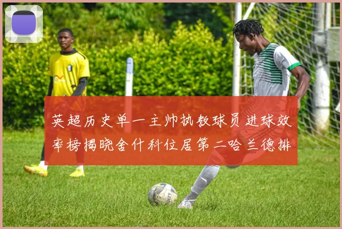 英超历史单一主帅执教球员进球效率榜揭晓舍什科位居第二哈兰德排名第五