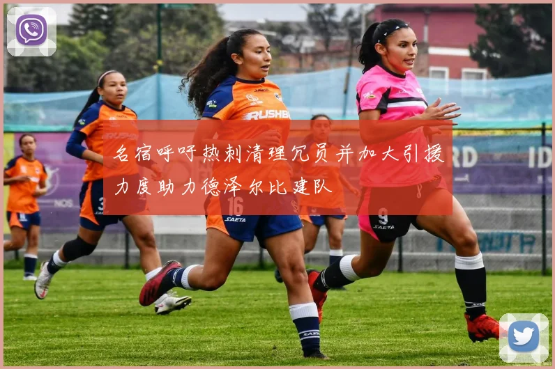 名宿呼吁热刺清理冗员并加大引援力度助力德泽尔比建队